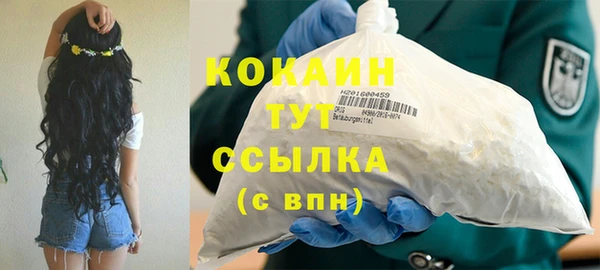 PSILOCYBIN Весьегонск