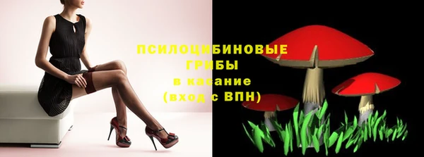 МДПВ Видное