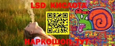 стафф Краснознаменск