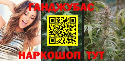 гидра Краснодар