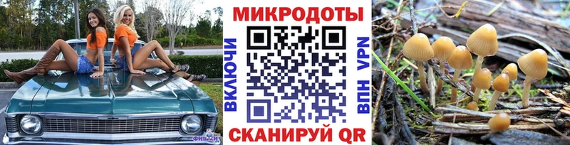 Галлюциногенные грибы Psilocybe  Ишимбай 