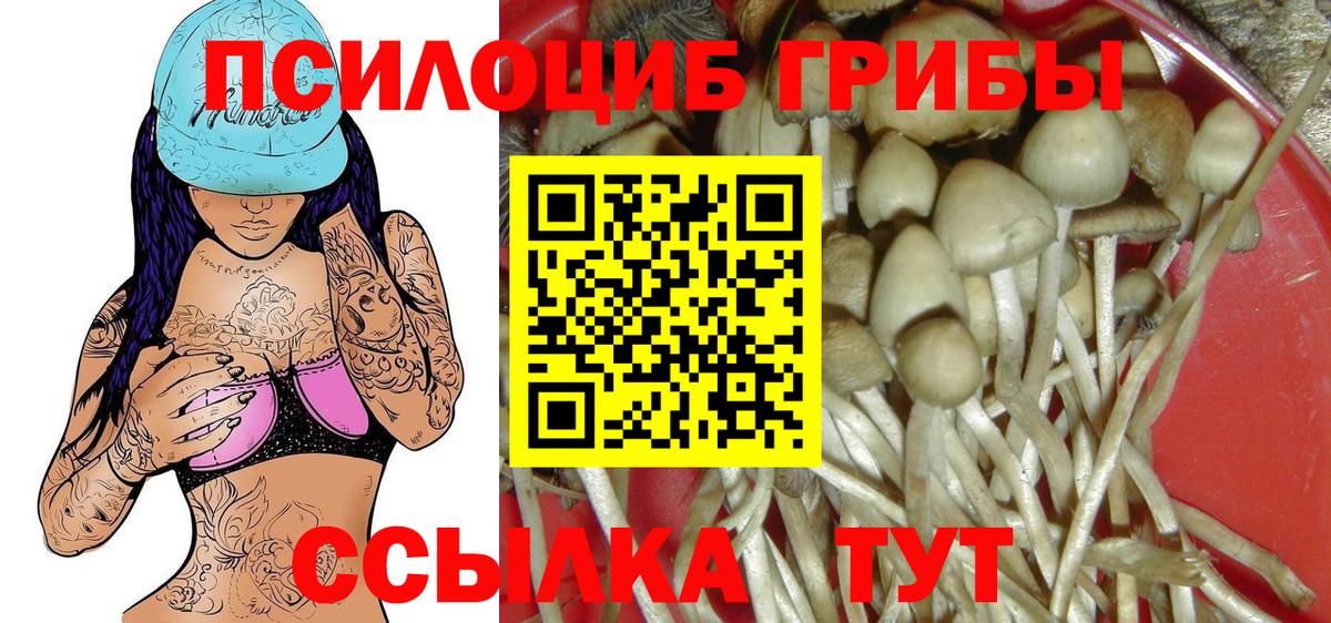 Псилоцибиновые грибы Magic Shrooms Ишимбай