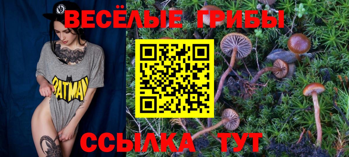 Галлюциногенные грибы Psilocybe  Вход с VPN  Ишимбай 
